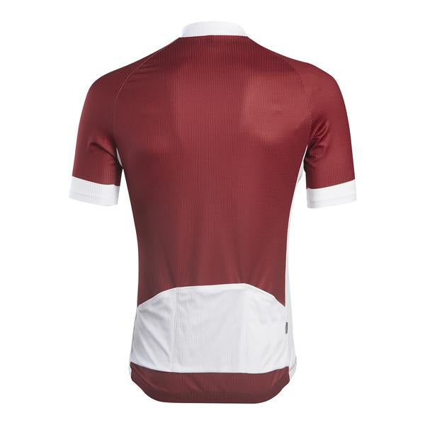 Red short-sleeve technical jersey with white accents on neck, cuffs, back pocket, and sides.  Back view.