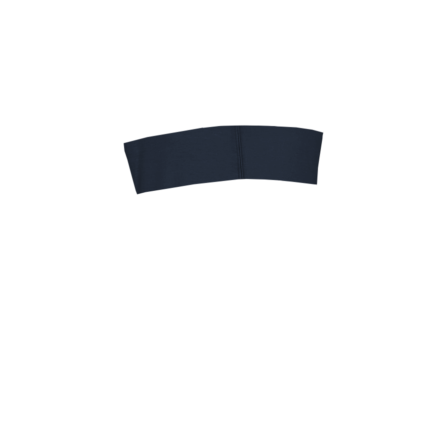 Stripe preview